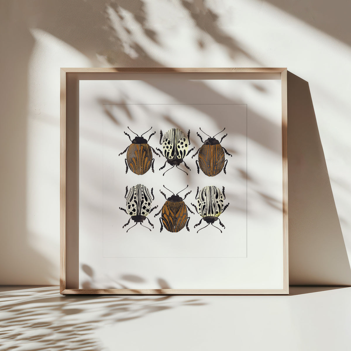 A square framed art print featuring six beetle illustrations arranged in two rows, leaning against a wall in warm natural light with leaf shadows cast across it.