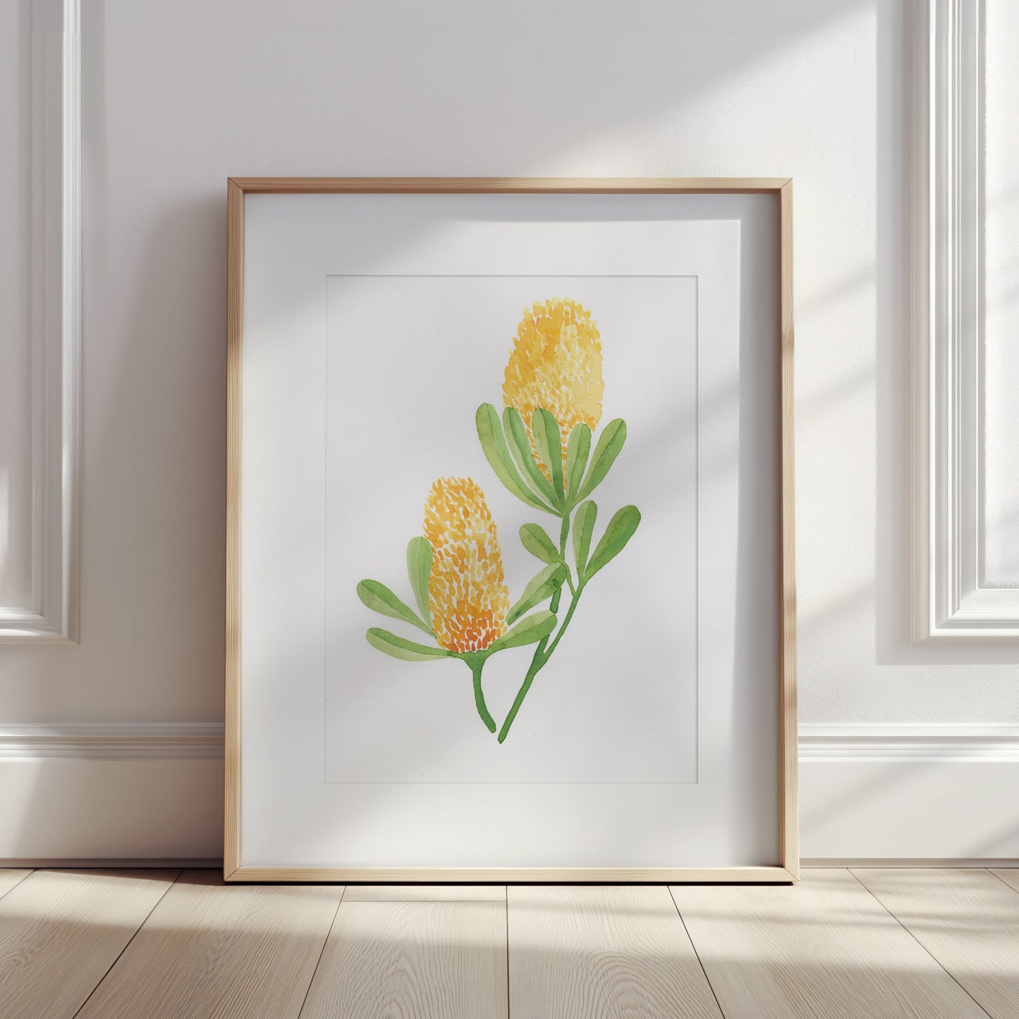 Original yellow Banksia watercolour painting shown in a frame for styling inspiration, Australian native botanical art.