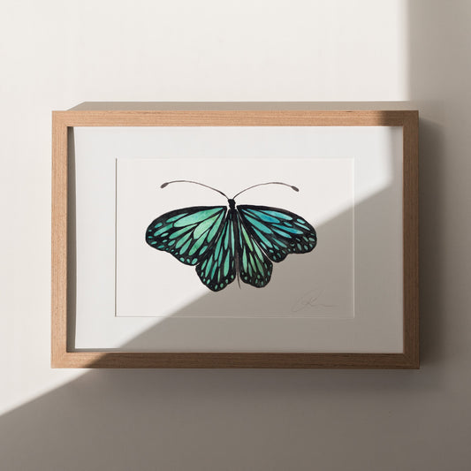 Framed artwork of a green butterfly on a white background