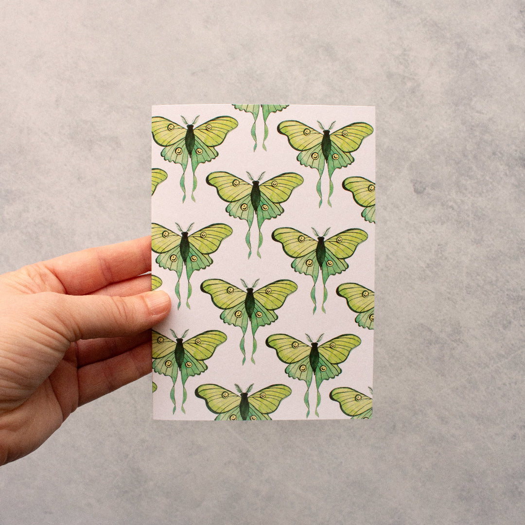 Everyday greeting card featuring a pattern of green luna moths in a delicate insect illustration style. A nature-inspired design perfect for any occasion.
