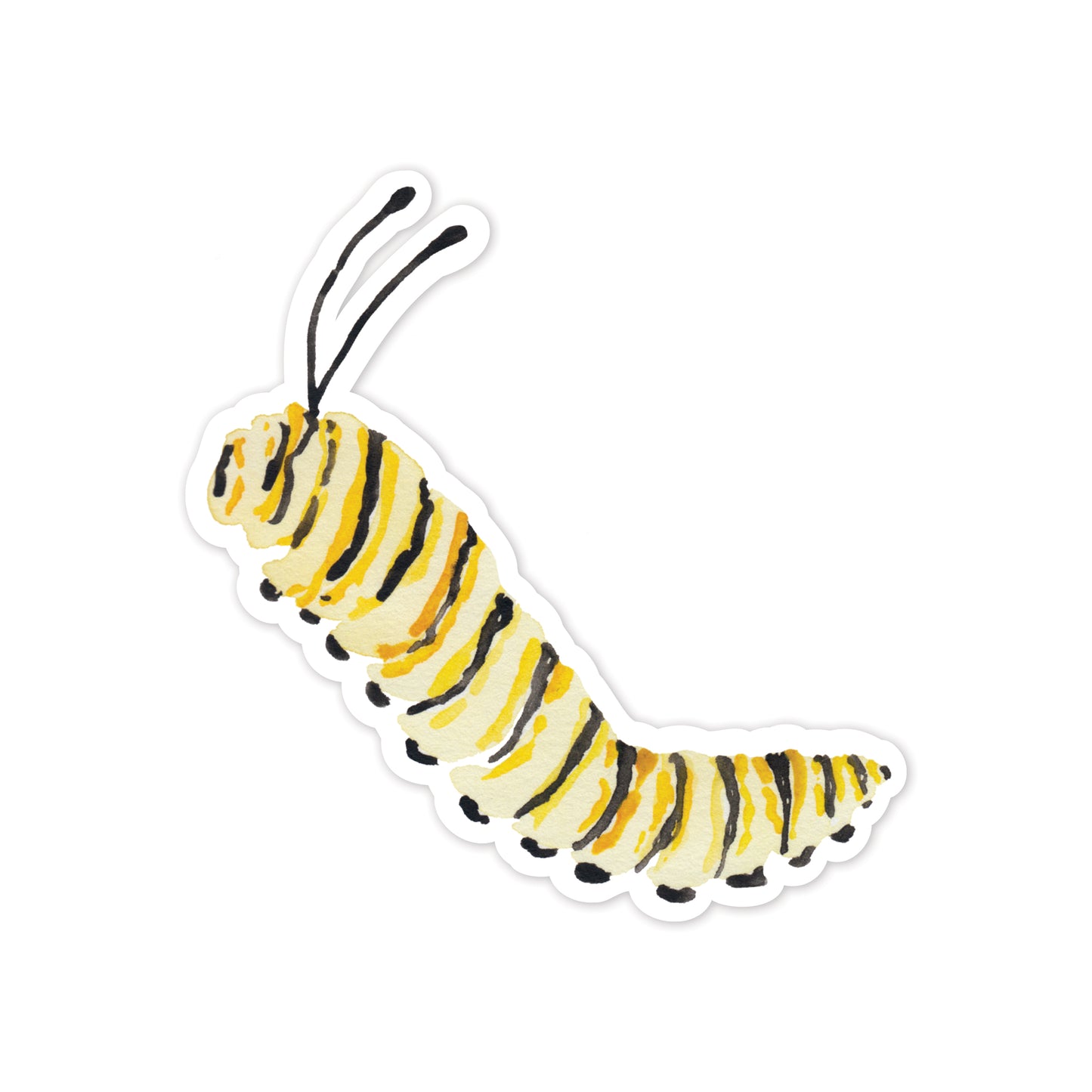 Yellow and black striped caterpillar illustration on a white background