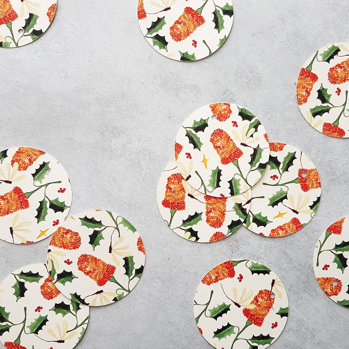 Holly Banksia Garden - 8 Pack