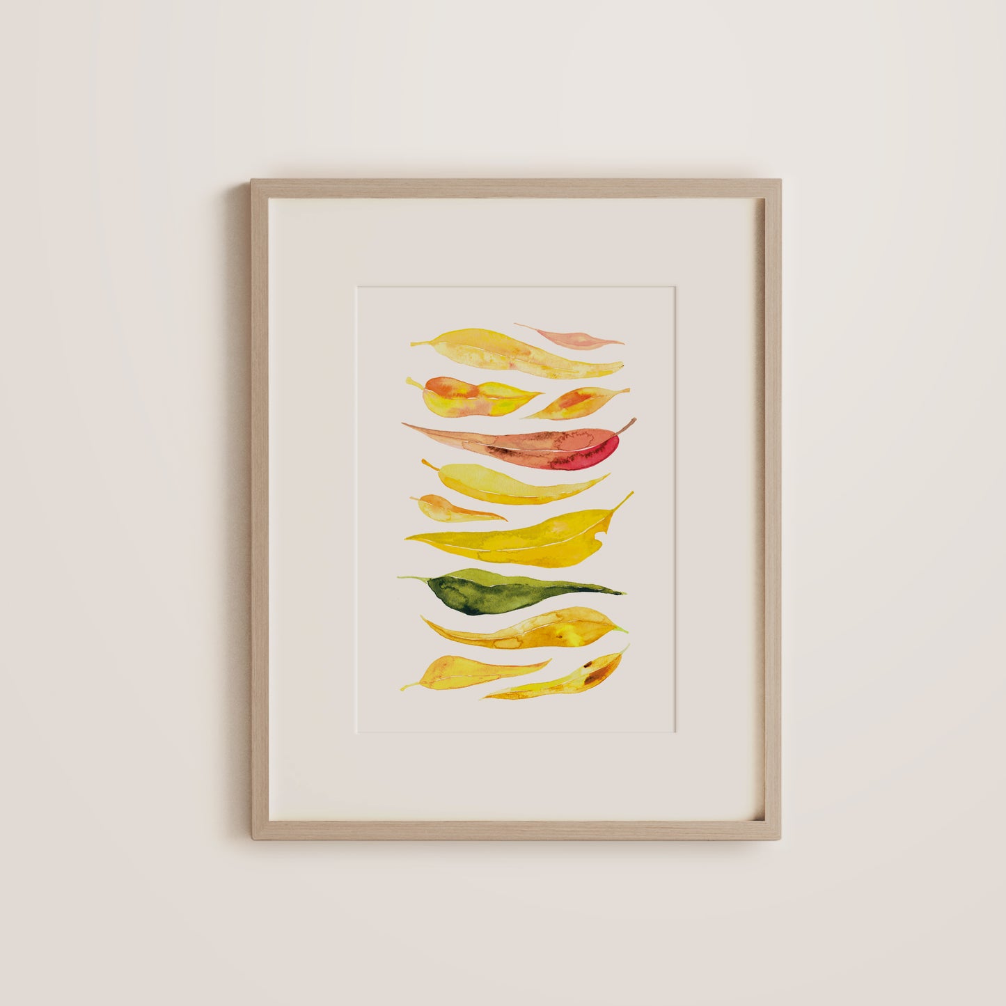 Yellow Eucalyptus Gum Drop