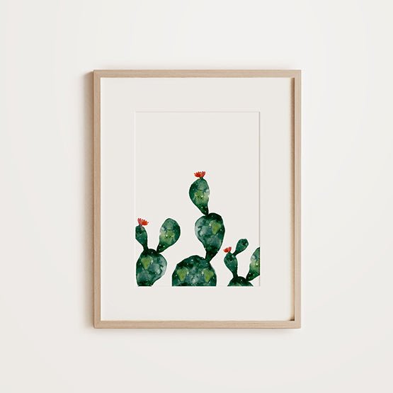 Cactus Flower