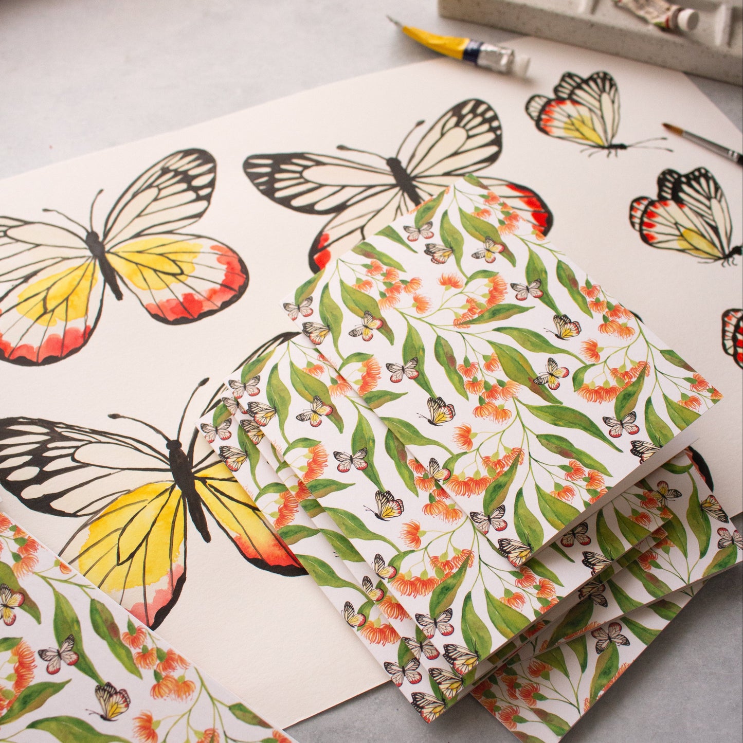 Jezebel Butterflies & Flowering Gum