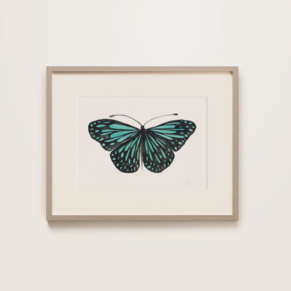 Framed artwork of a turquoise butterfly on a white background