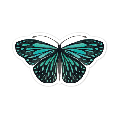 Teal butterfly illustration on a white background