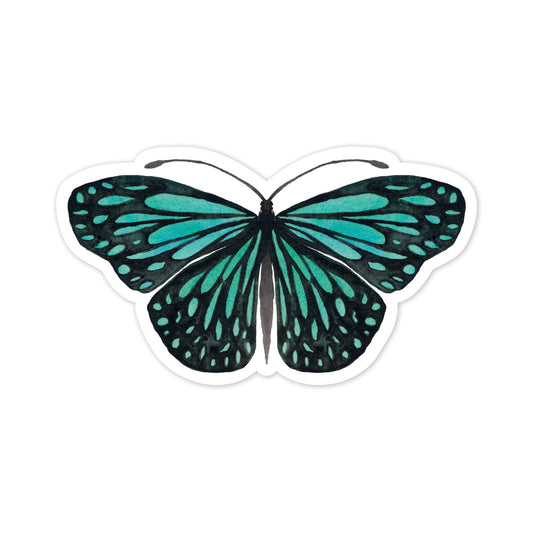 Teal butterfly illustration on a white background