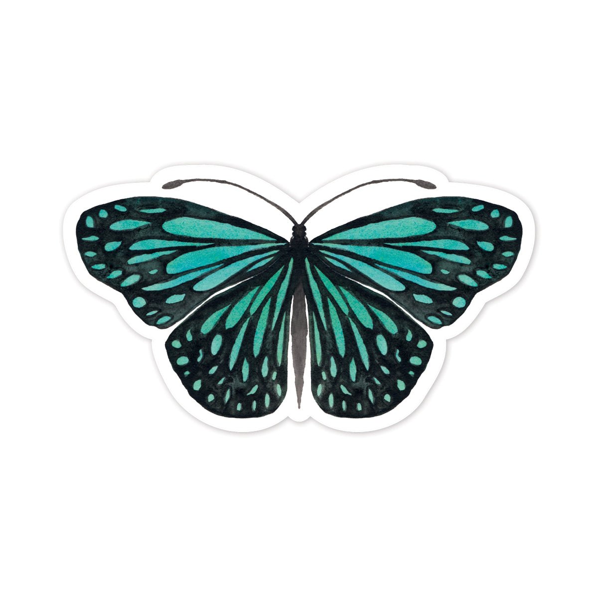 Teal butterfly illustration on a white background