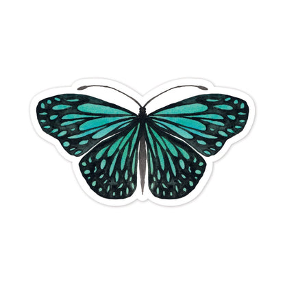 Teal butterfly illustration on a white background