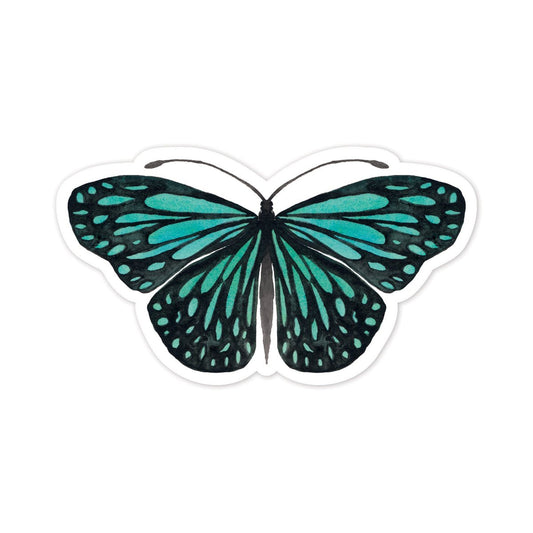 Teal butterfly illustration on a white background