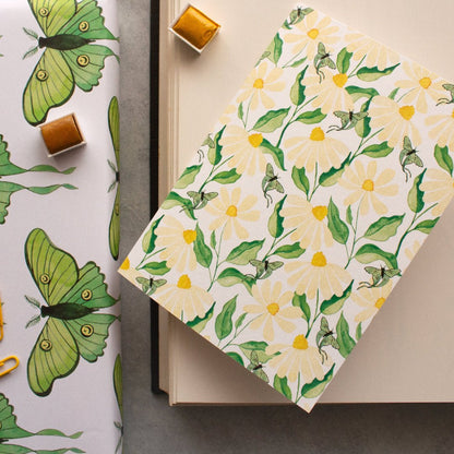 daisy flowers greeting card on a book