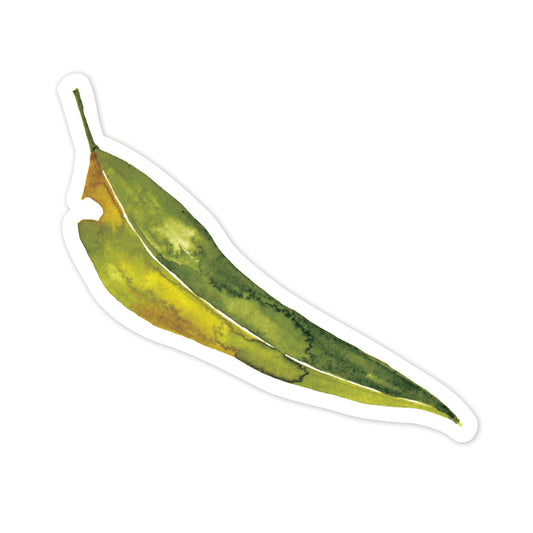 Illustration of a green gum leaf on a white background