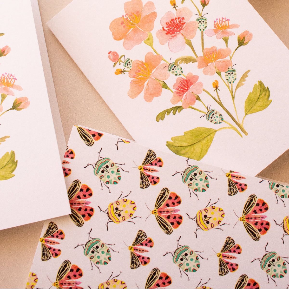 Floral and insect botanical greeting cards set of six, suitable for all occasions