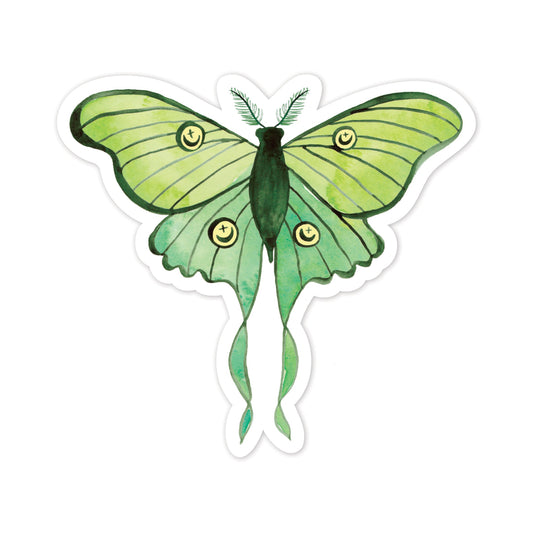 Green moth with moon patterns on wings on a white background