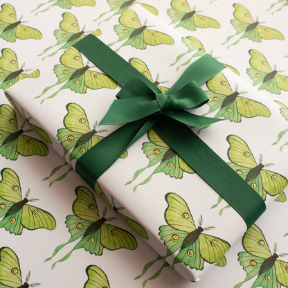 Gift wrapped in paper with green moths pattern and green ribbon