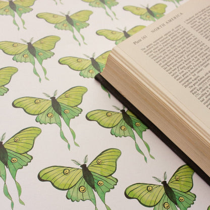 Luna Moths Gift Wrap Sheet