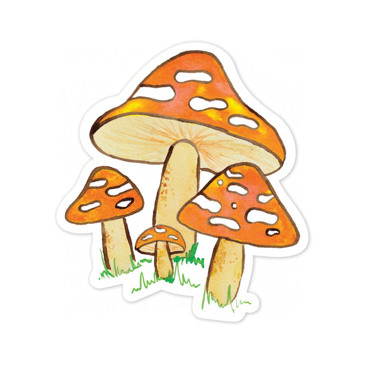 Illustration of mushrooms with orange caps and white spots on a white background
