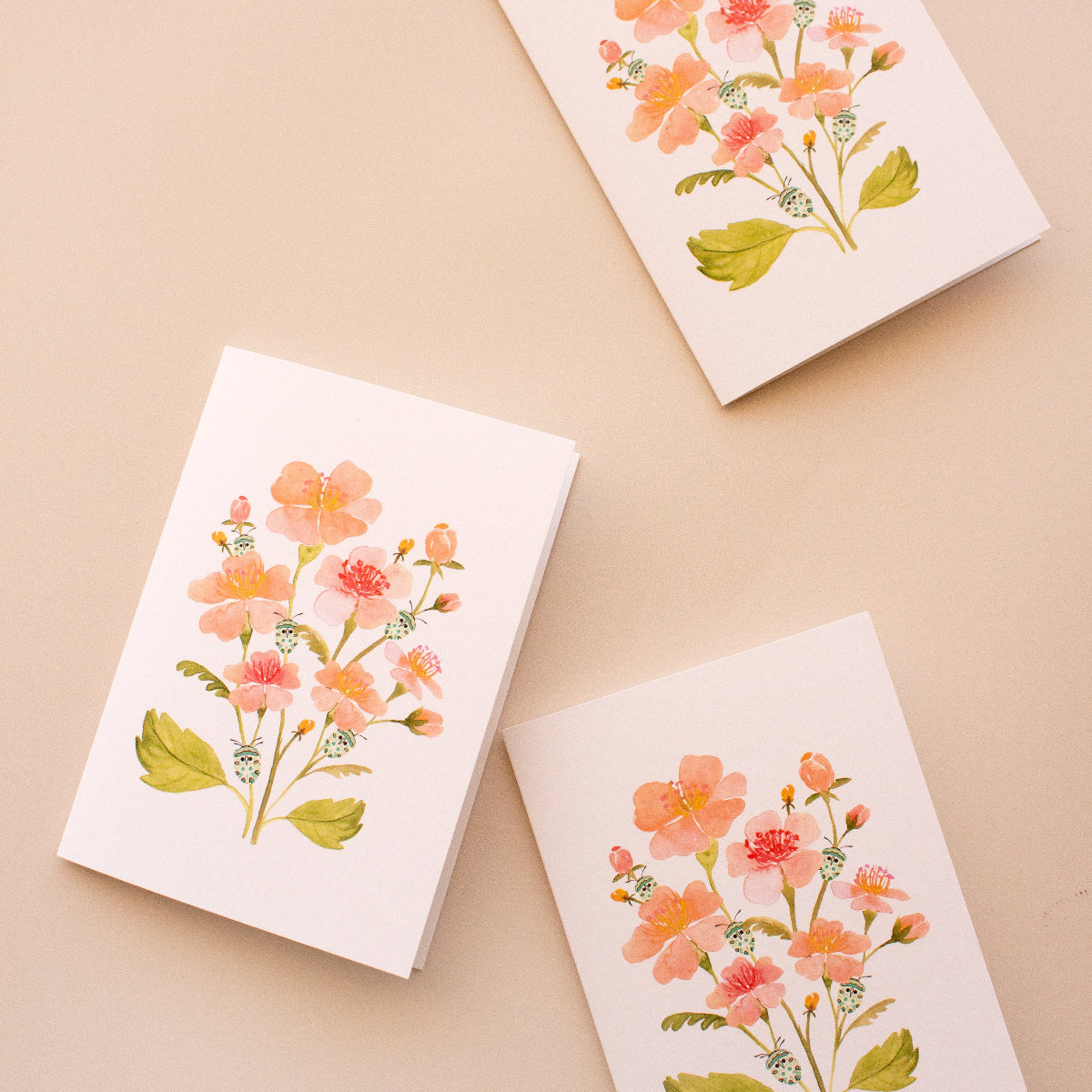 Everyday greeting cards with pink floral artwork and teal beetles