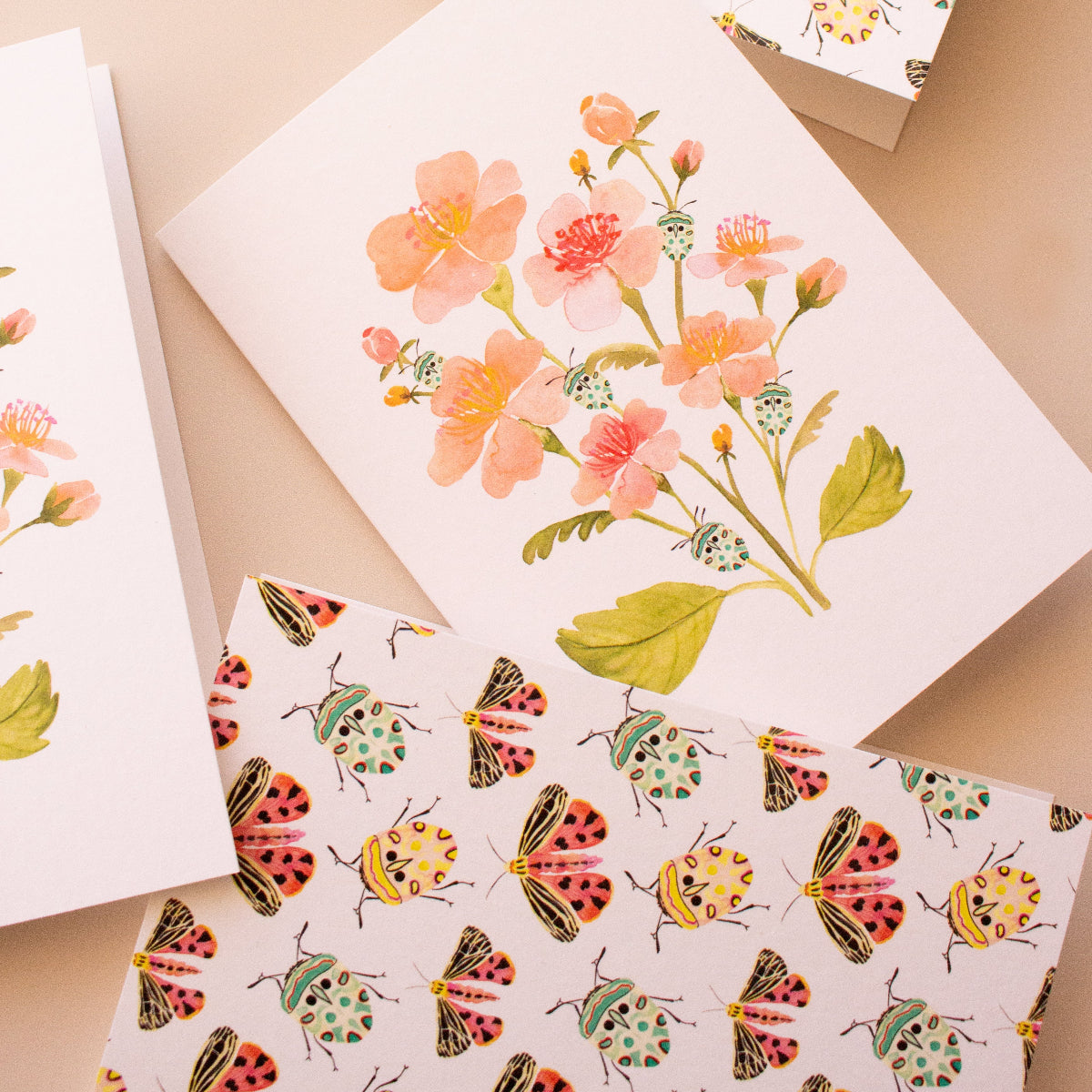 Australian-designed pink floral greeting card with teal beetle illustration