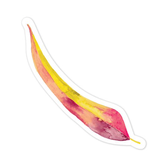 Colourful leaf-shape on a white background