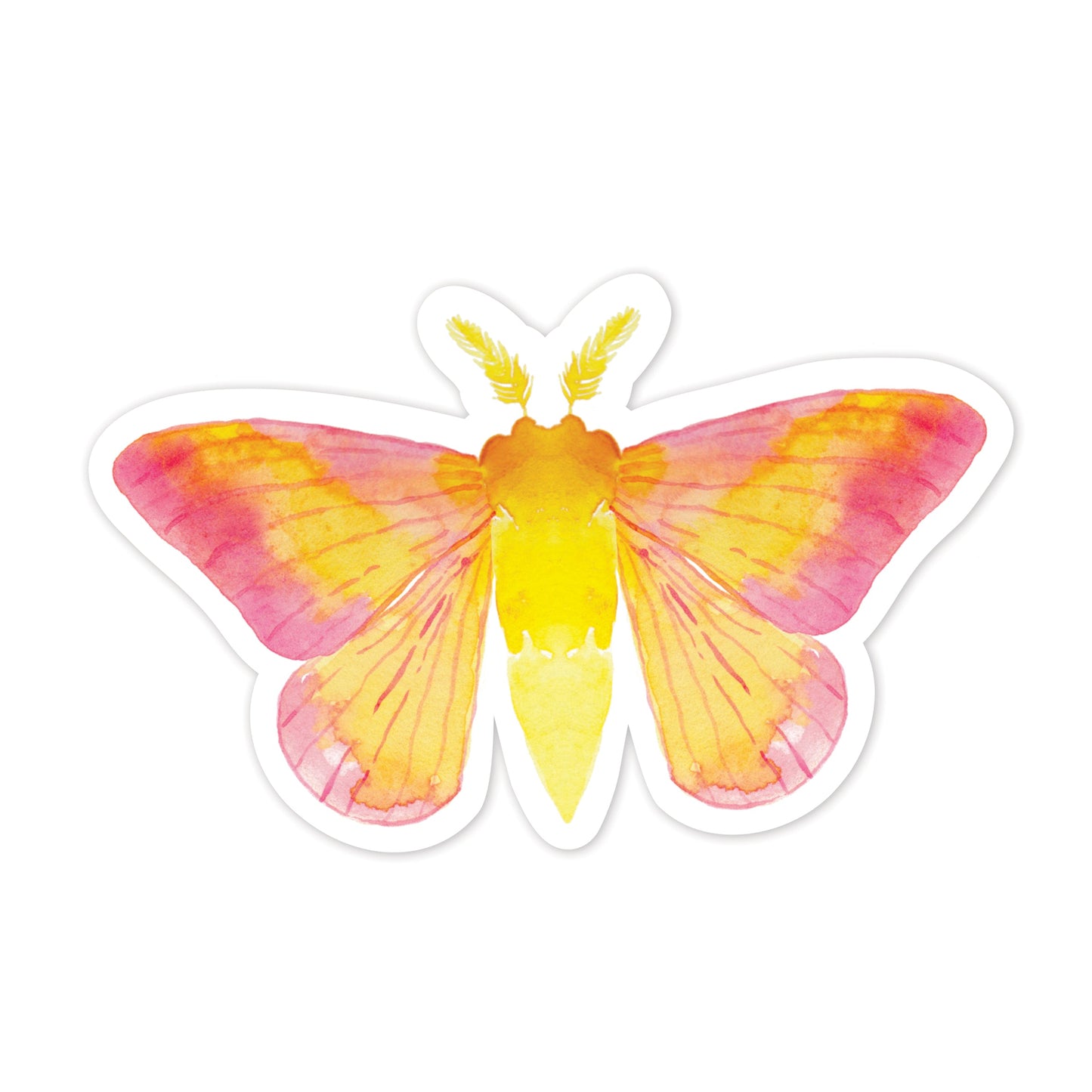 Moth-shaped sticker with pink and yellow wings on a white background