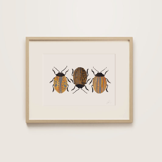 Sunlight Crawlers
