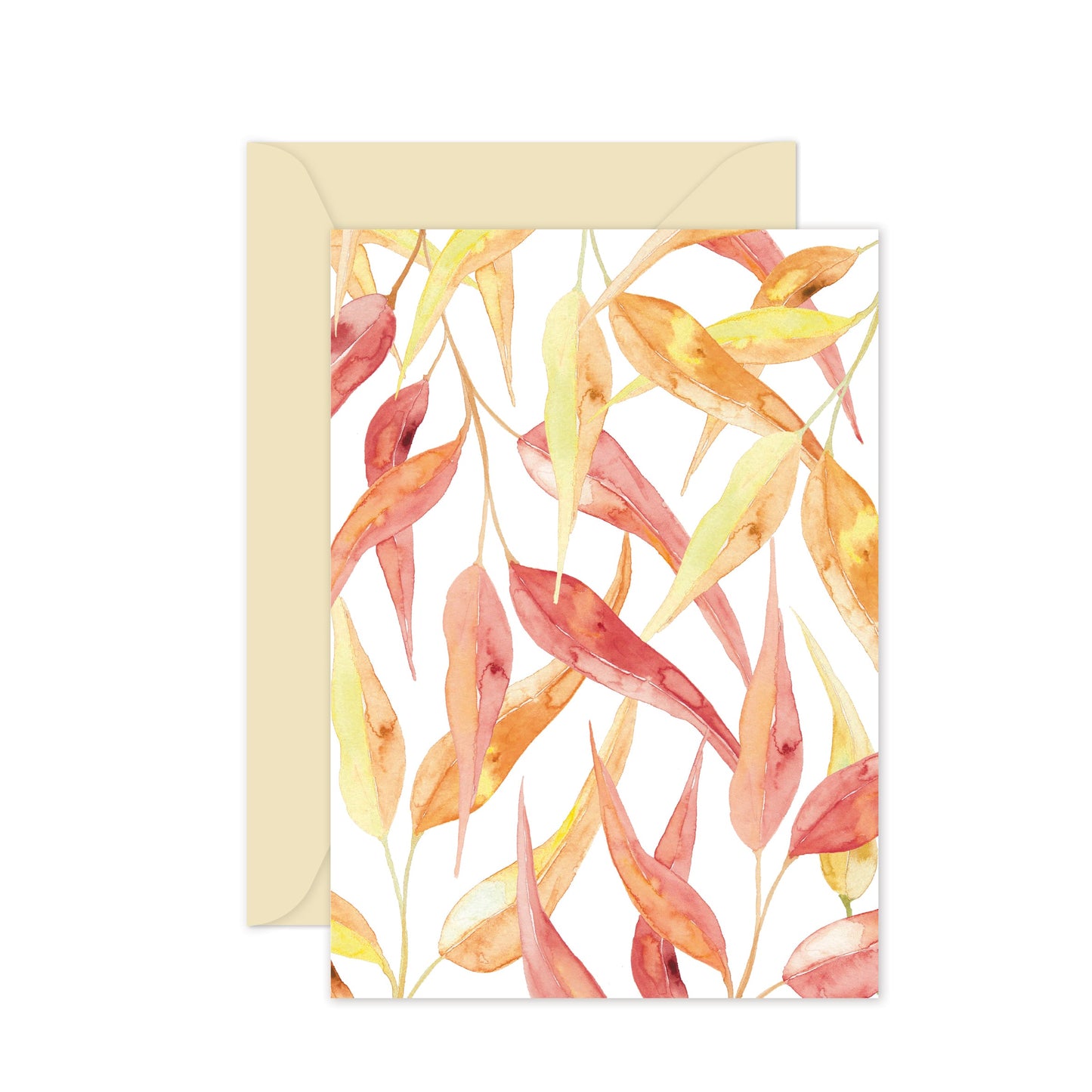 Swallowtail Gum Leaves