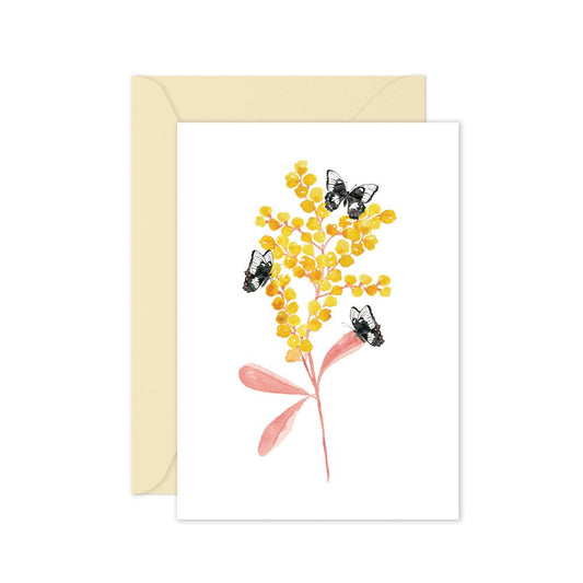 Swallowtail Wattle