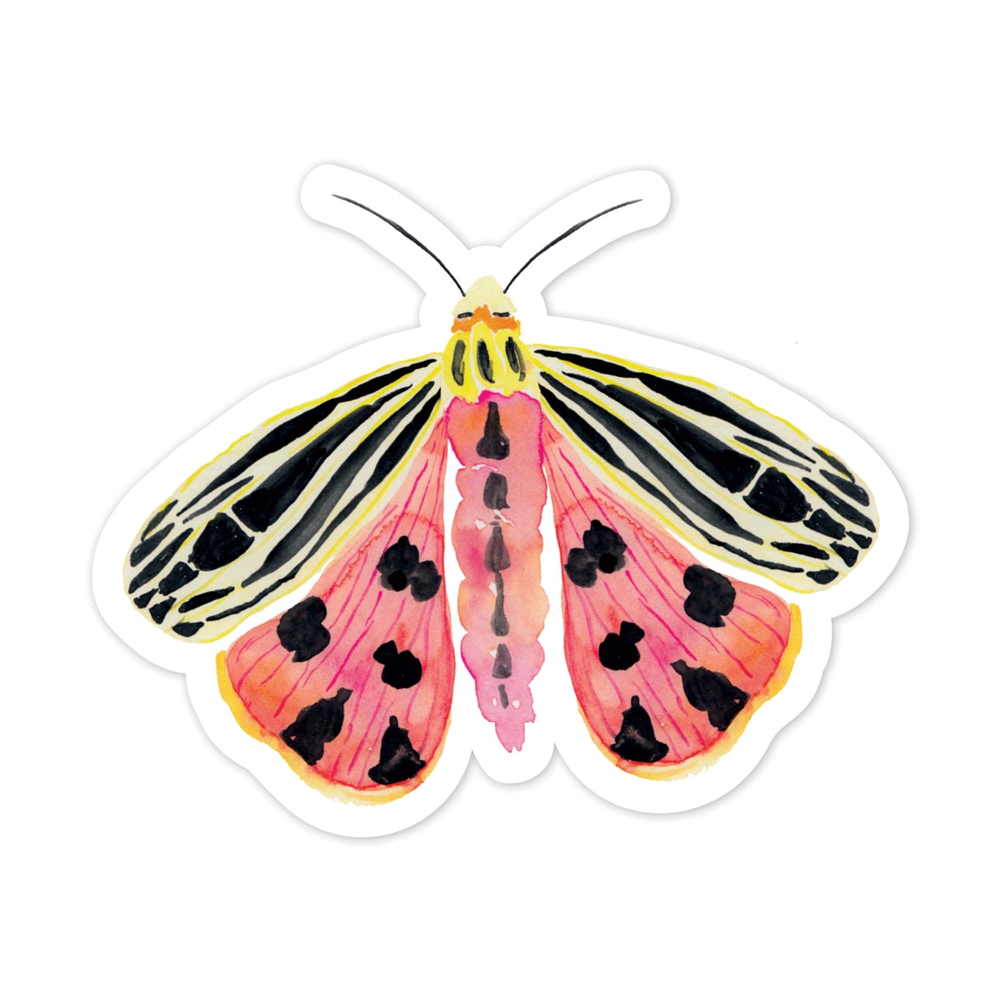 Virgin Tiger Moth Sticker