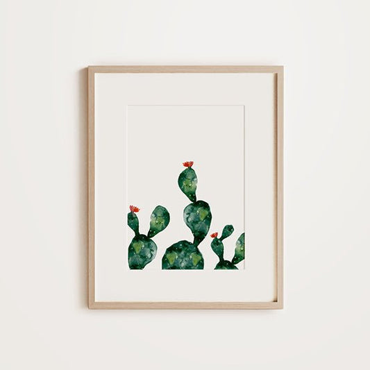Cactus Flower