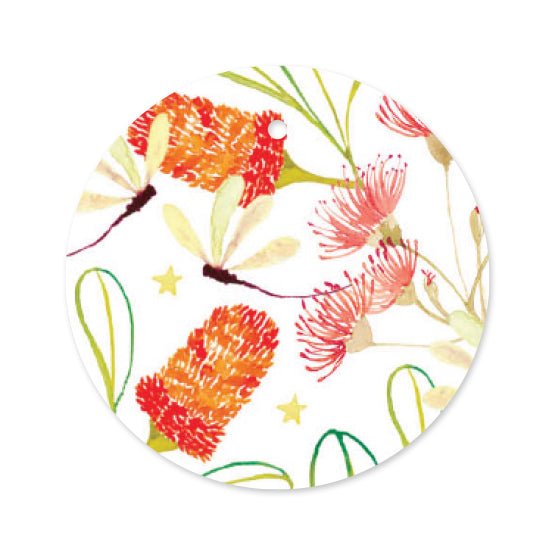 Christmas Banksia - 8 Pack