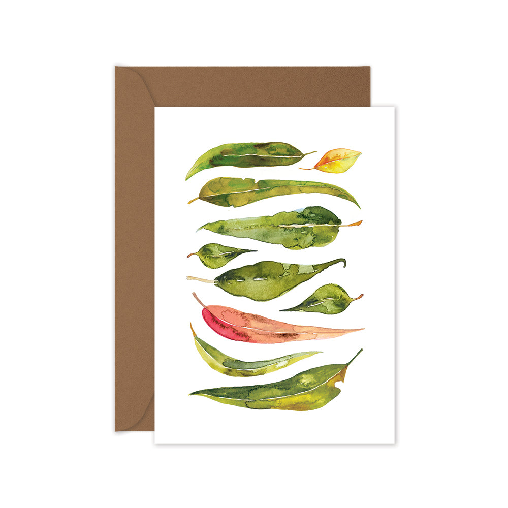 green australian eucalyptus gum leaves blank greeting card