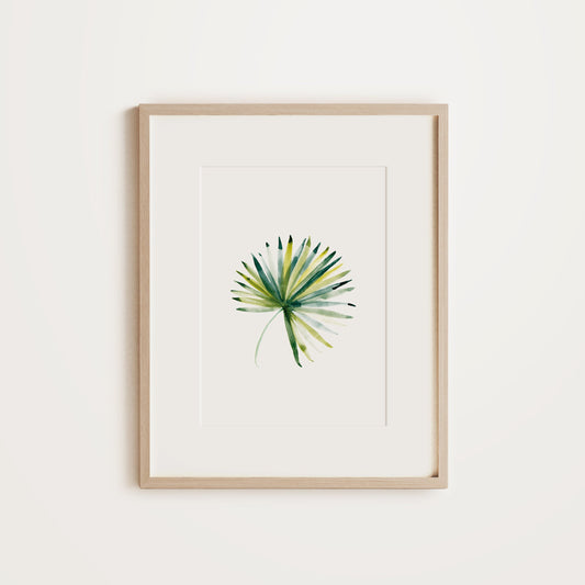 Palm