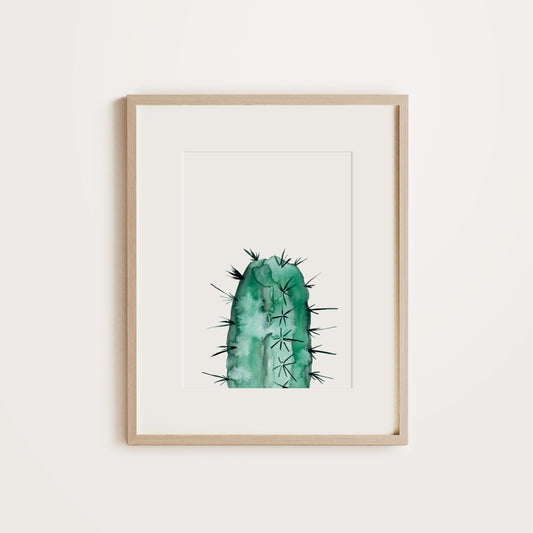 Round Cactus