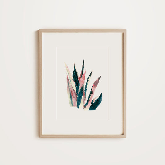 Single Aloe Vera