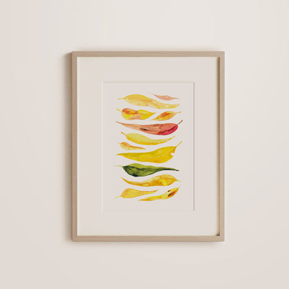 Yellow Eucalyptus Gum Drop
